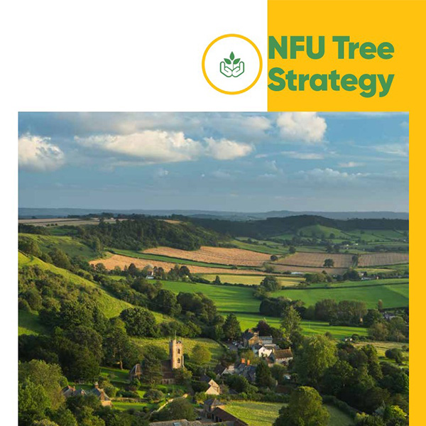 NFU Tree Strategy July 2021 Front Cover