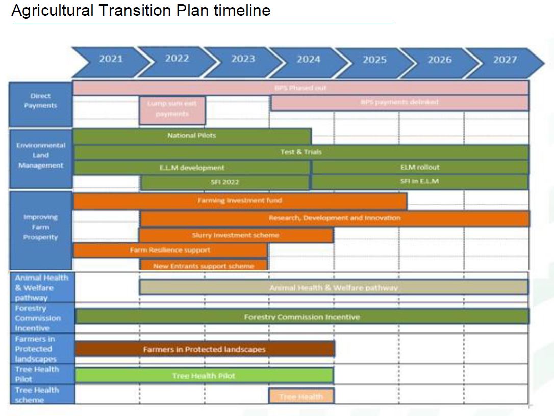 Our chart provides an approximate illustration of the various schemes that will be available and when during the transition period.

Log in using your membership details to download it.