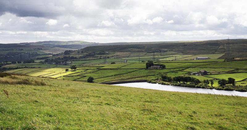 NFU campaign secures improved payments for HLS farmers