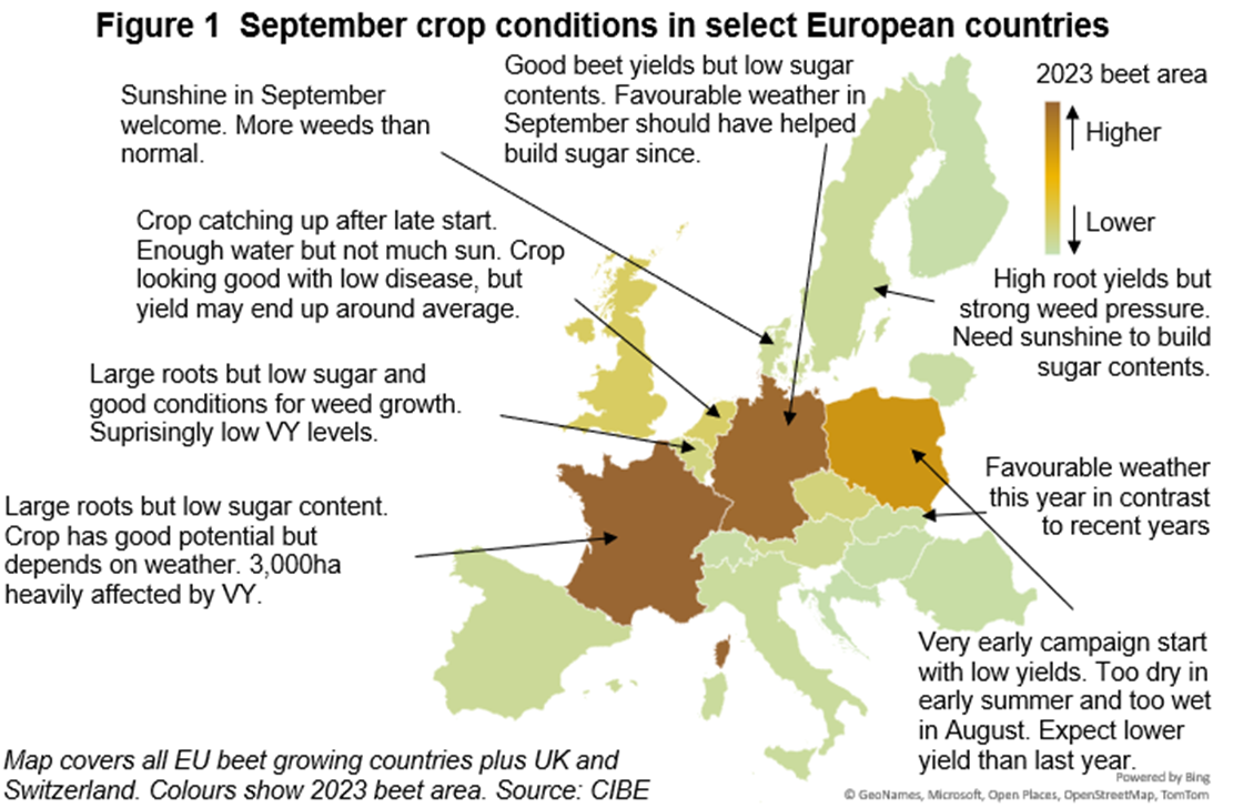 A map of Europe showing September crop conditions across Europe