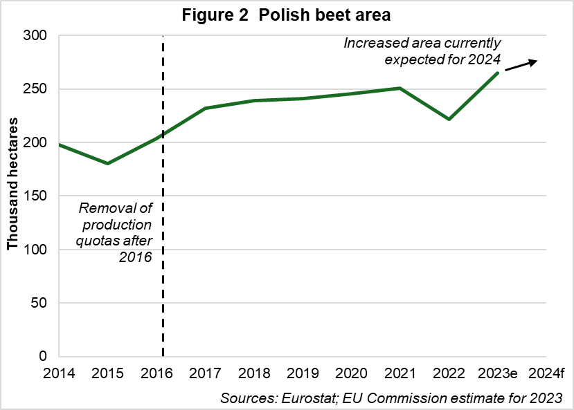 Figure 2 shows the increase in the Polish beet area from 2014-2024
