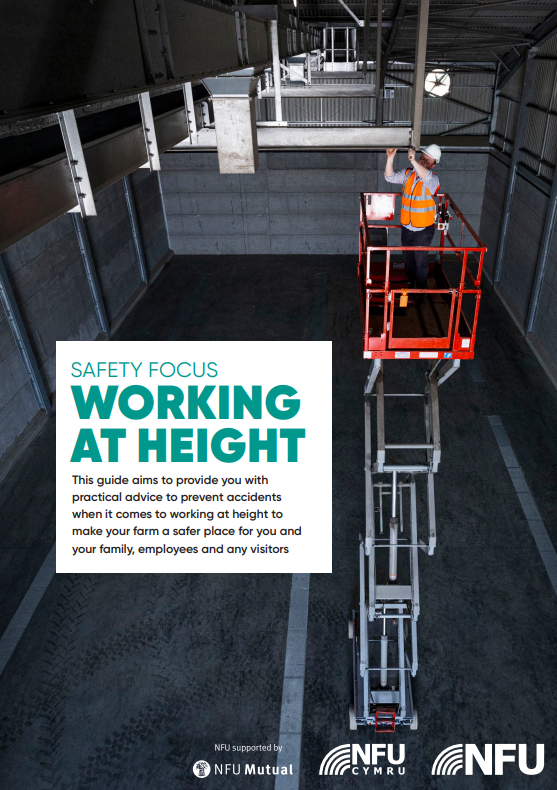Safety Focus: Working at height