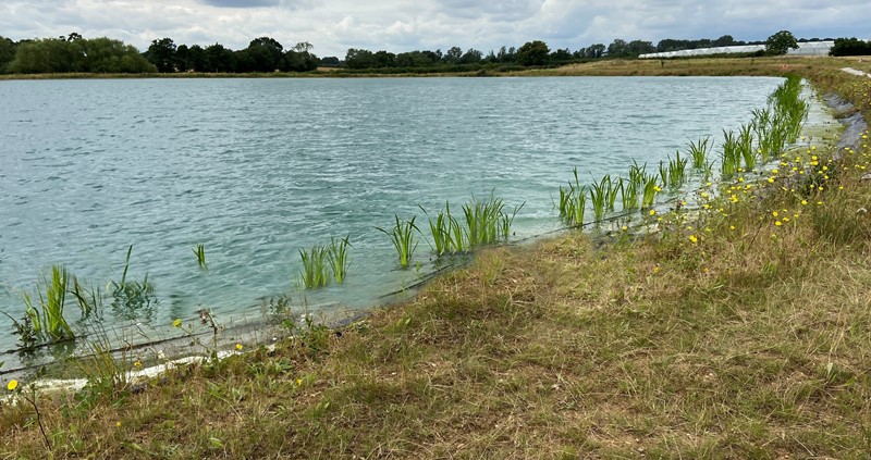 A photo of one of the reservoirs at Tiptree Farms in Essex.
