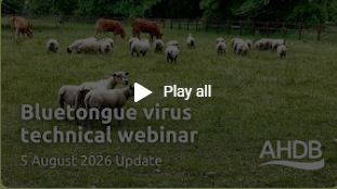AHDB webinar