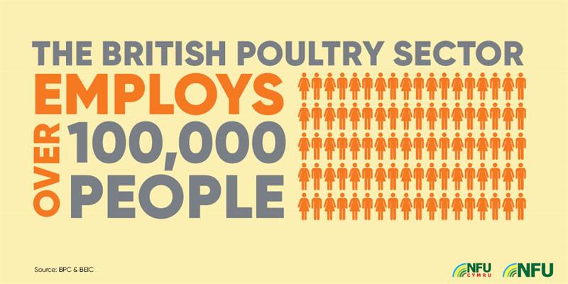 The British Poultry sector employs over 100,000 people