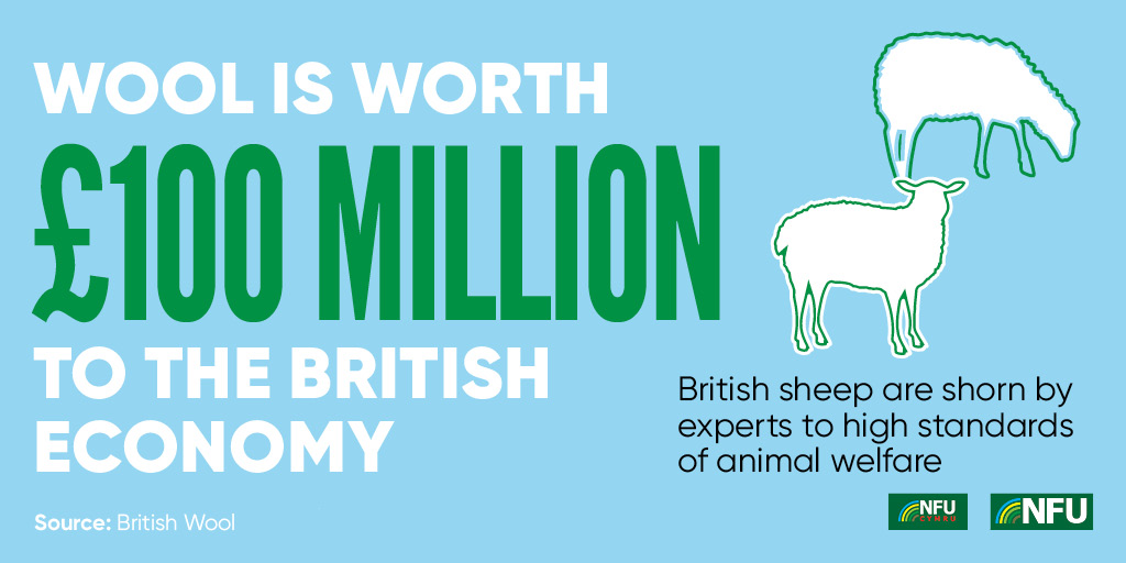 Source: Producer information and wool values, British Wool website