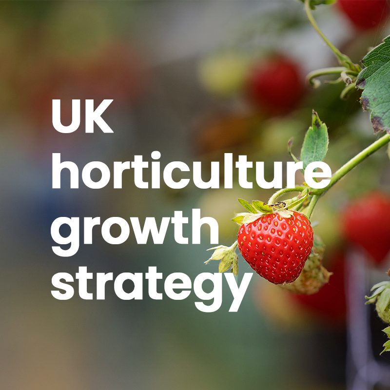 UK horticulture growth strategy