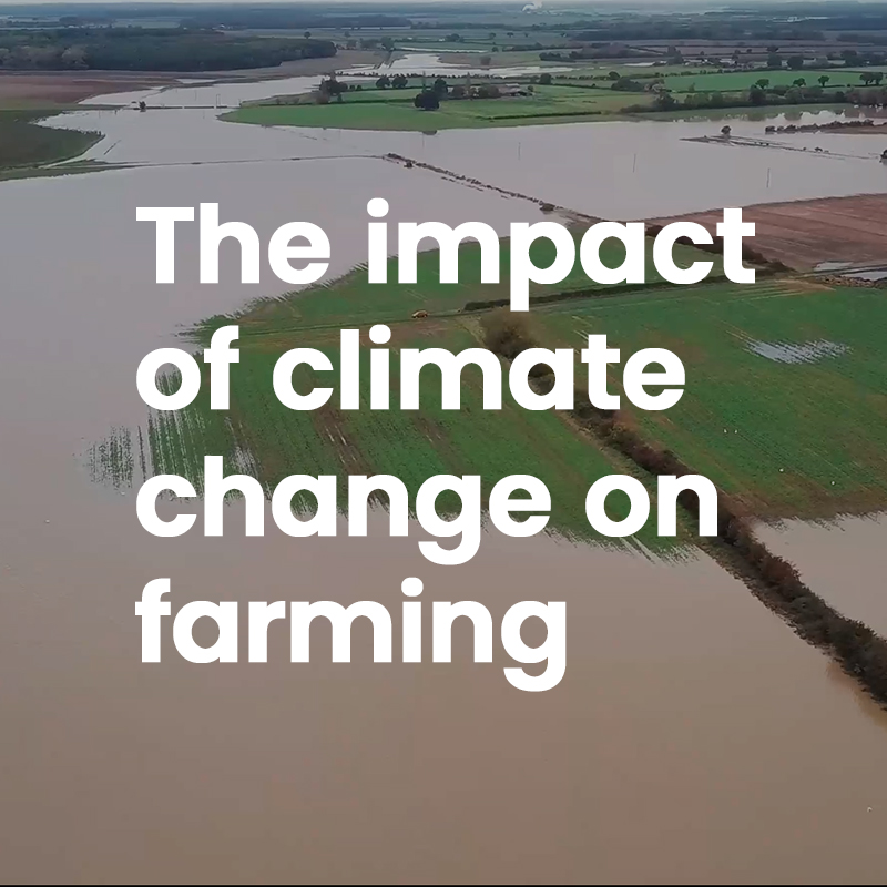 Weather Report Thumbnail