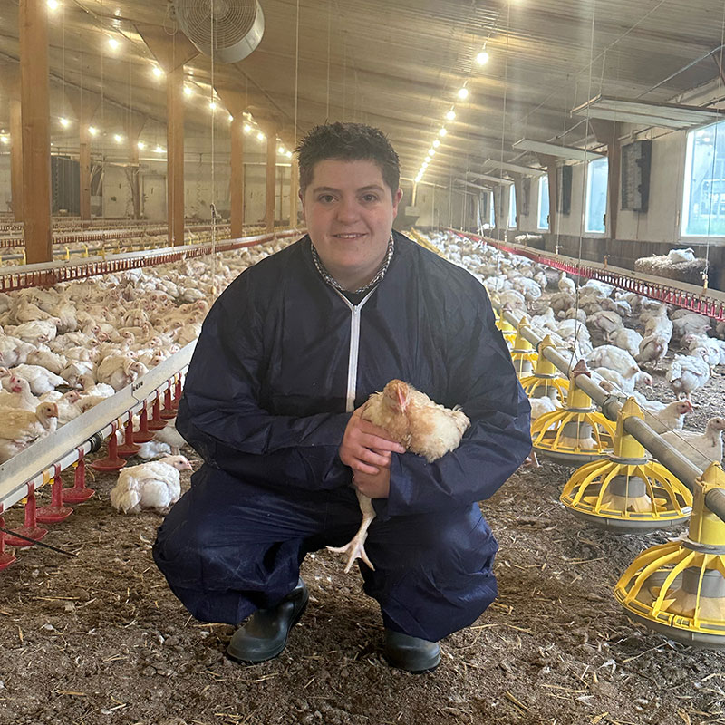 Stephanie Pedrick, pictured crouched down in a broiler holding a hen