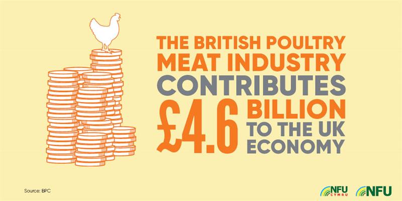 British poultry meat industry contributes £4.6Bn to the UK economy