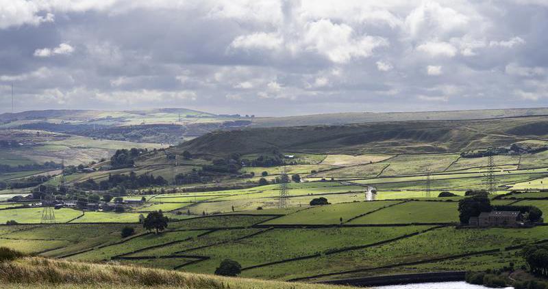 NFU working groups press for smoother transition into SFI