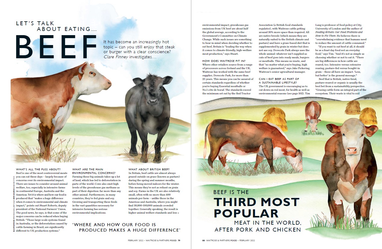 See this beautifully illustrated four-page article from Waitrose magazine that explains the whys and wherefores of eating beef.