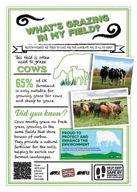 What's growing in my field – cows