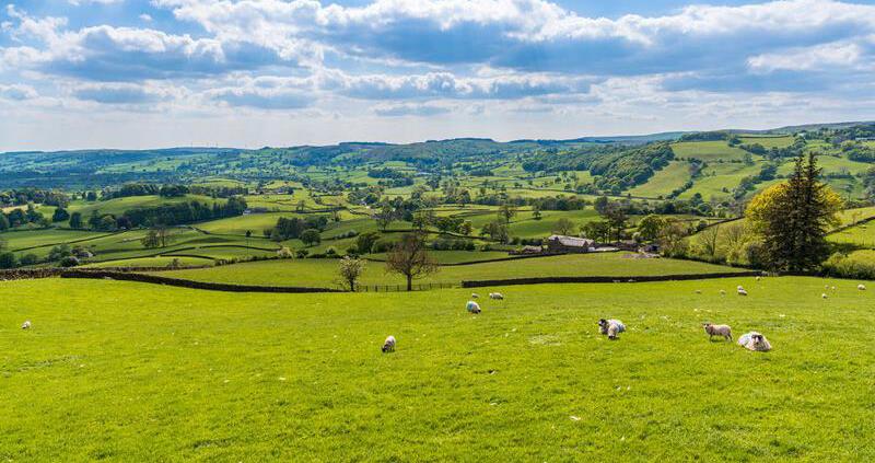 Uplands Vision officially launched