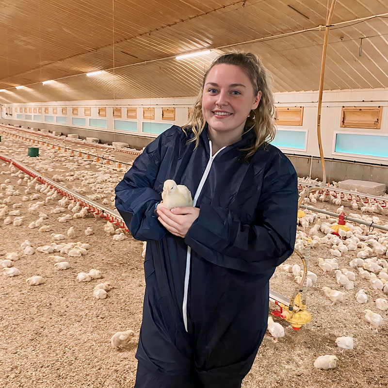A picture of Olivia Robinson in a broiler holding a chick