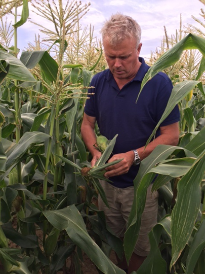 An image of Trevor Bradley cutting his crop