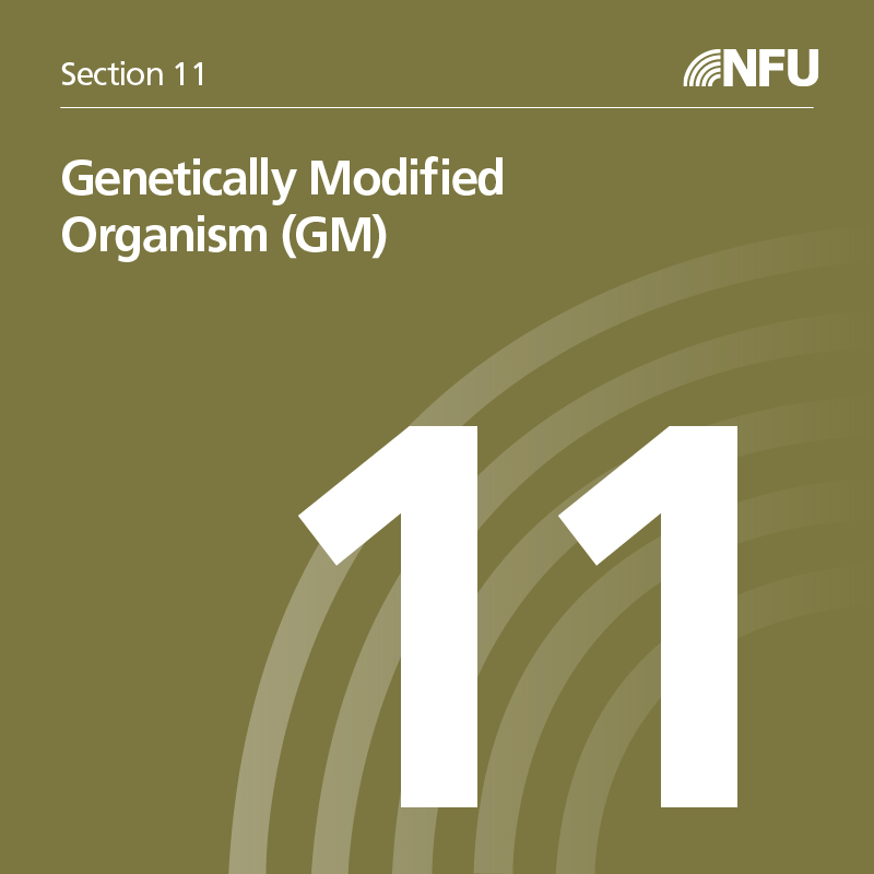 Section 11 Genetically Modified Organism