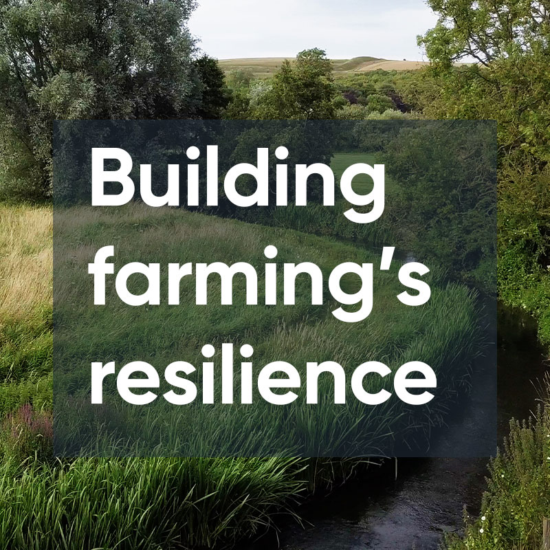 Building Farming's Resilience