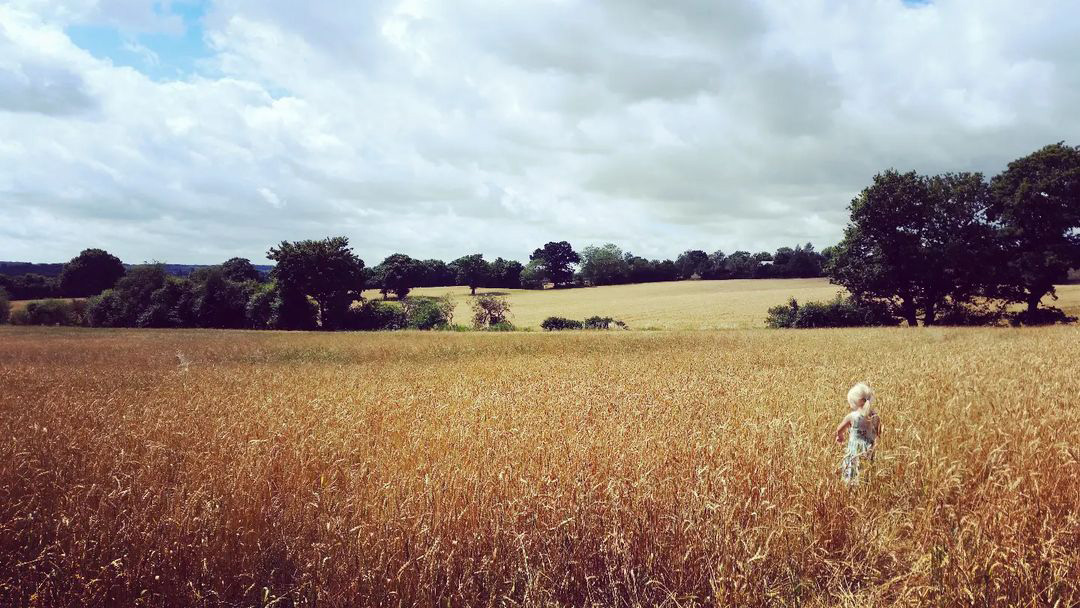 Credit: baggytrews. 
“Children are the future and introducing them to British farming, its necessity and beauty is vital to its conservation.”