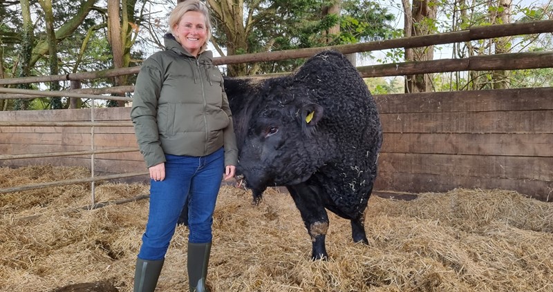 MP Angela Richardson with bull