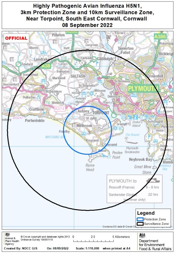 AI map Torpoint, Cornwall