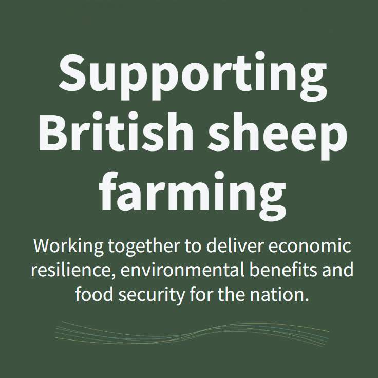 Supporting British sheep farming