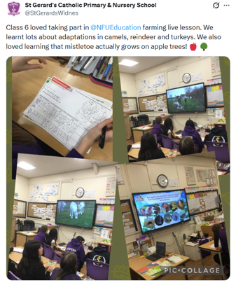 X post from St Gerard's Catholic Primary & Nursery School