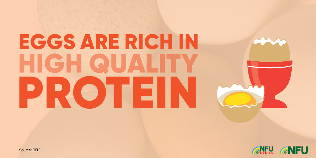 Eggs are rich in high quality protein