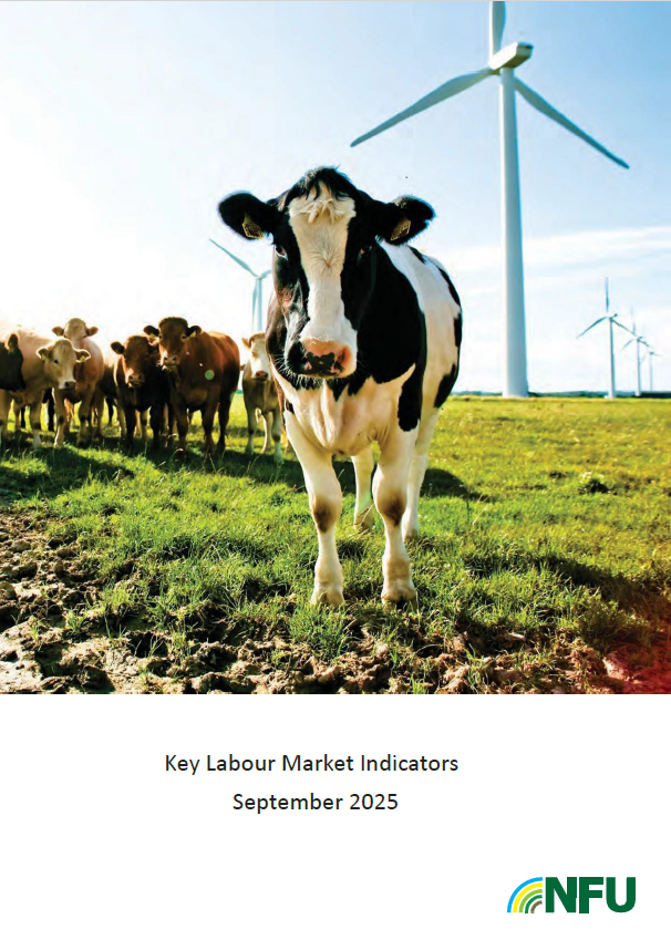 Key Labour Market Indicators