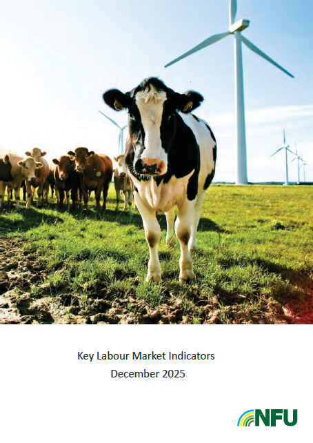 Key Labour Market Indicators