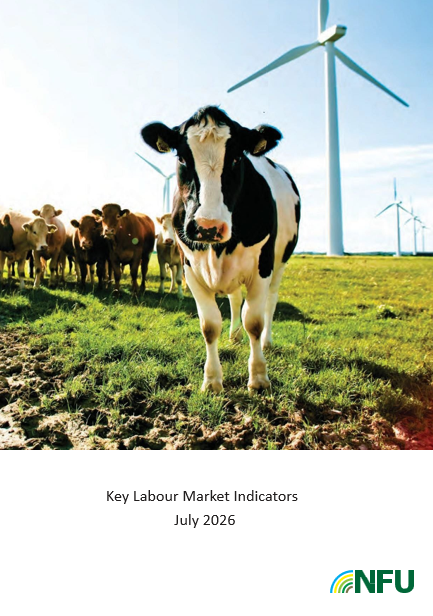 Key Labour Market Indicators
