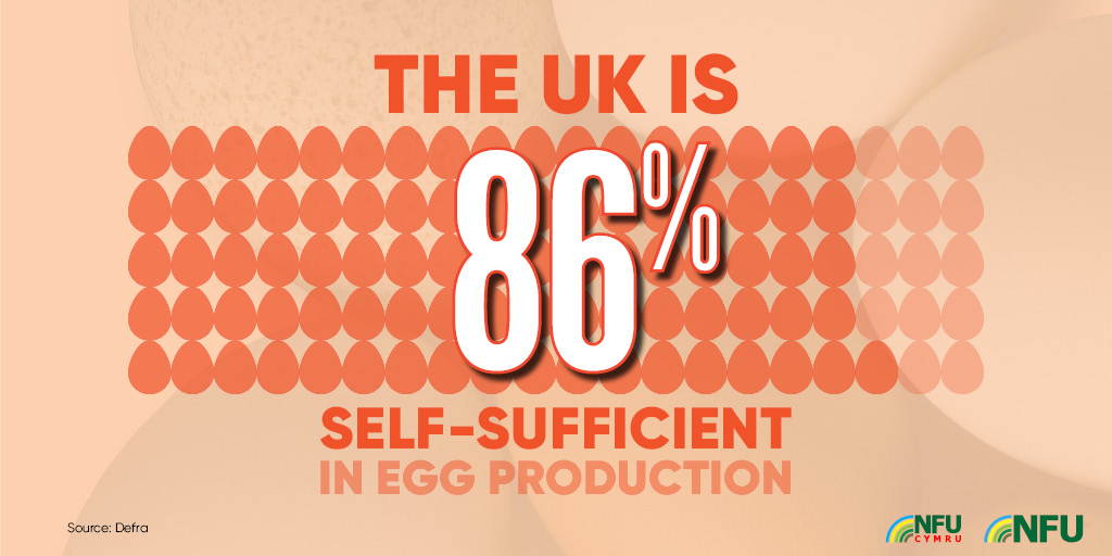 The UK is 86% self-sufficient in egg production 