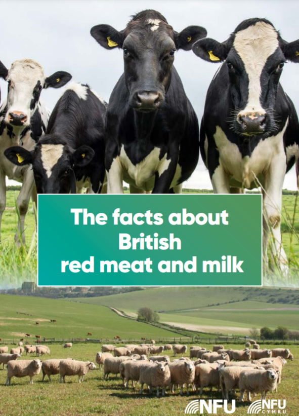 The Facts About British Red Meat And Milk