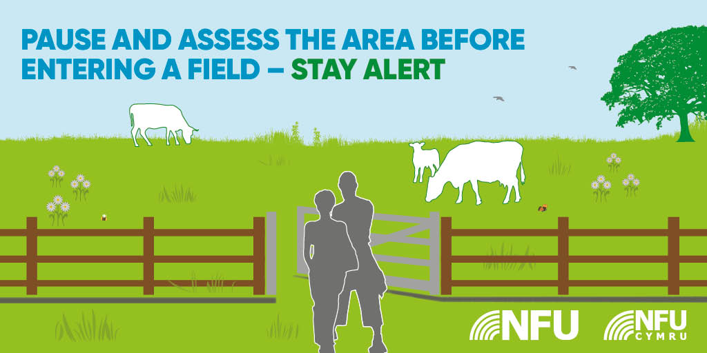 Stay alert before entering a field