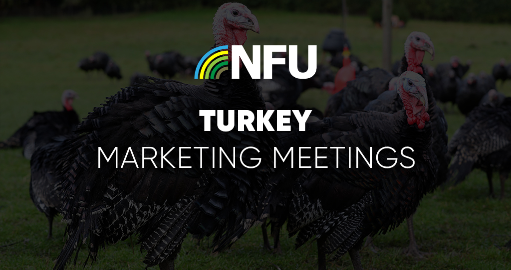 A graphic advertising a member event with turkeys in the background