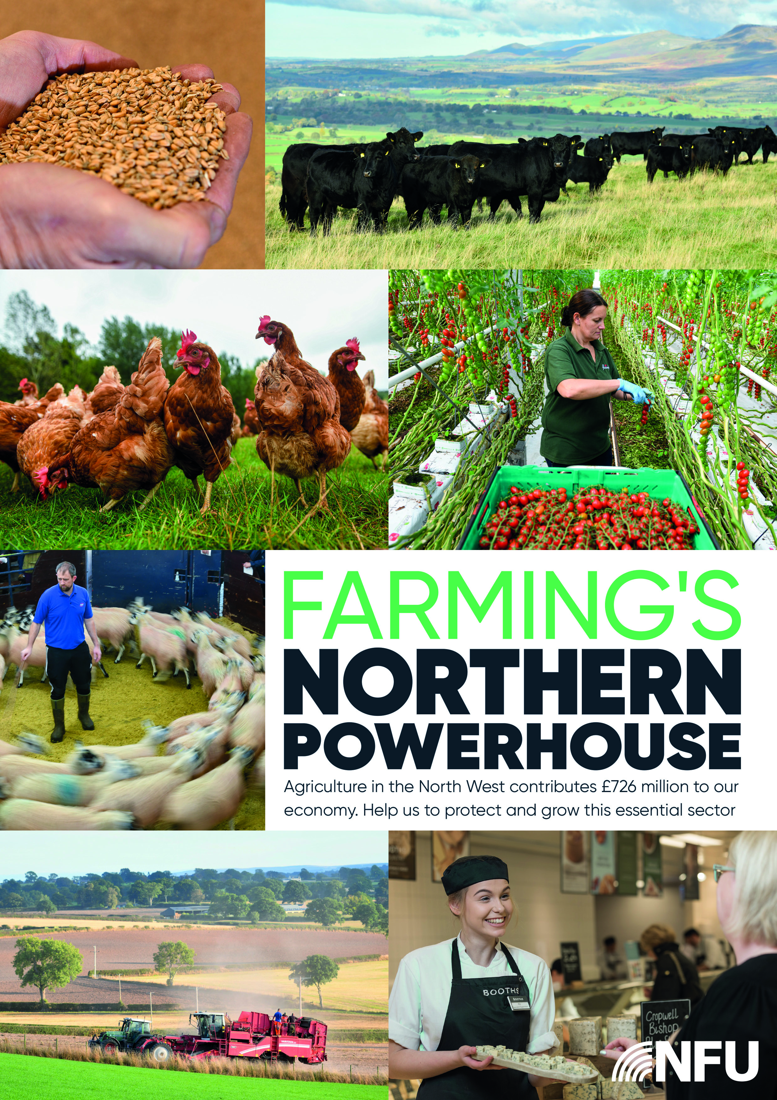 The brand new NFU North West campaign makes the case for why food, drink, and the farming industries are vital to the prosperity of our region. And we want you to get involved.