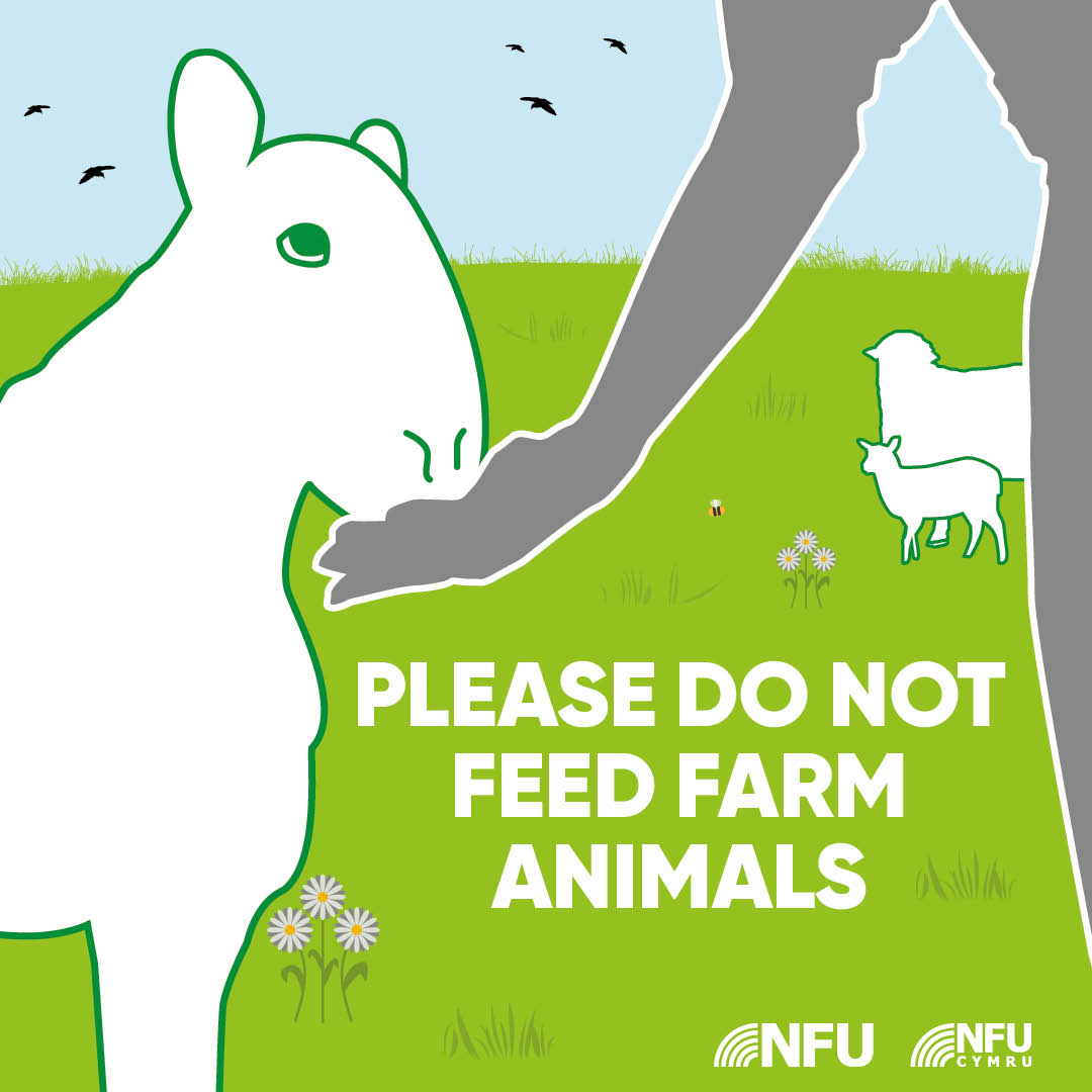  Please do not feed the farm animals