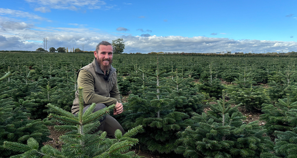 Matt Stubbs kneeling in a field of young Christmas trees