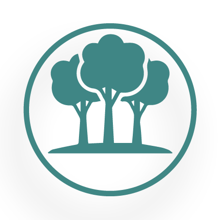 A graphic used to demonstrate trees