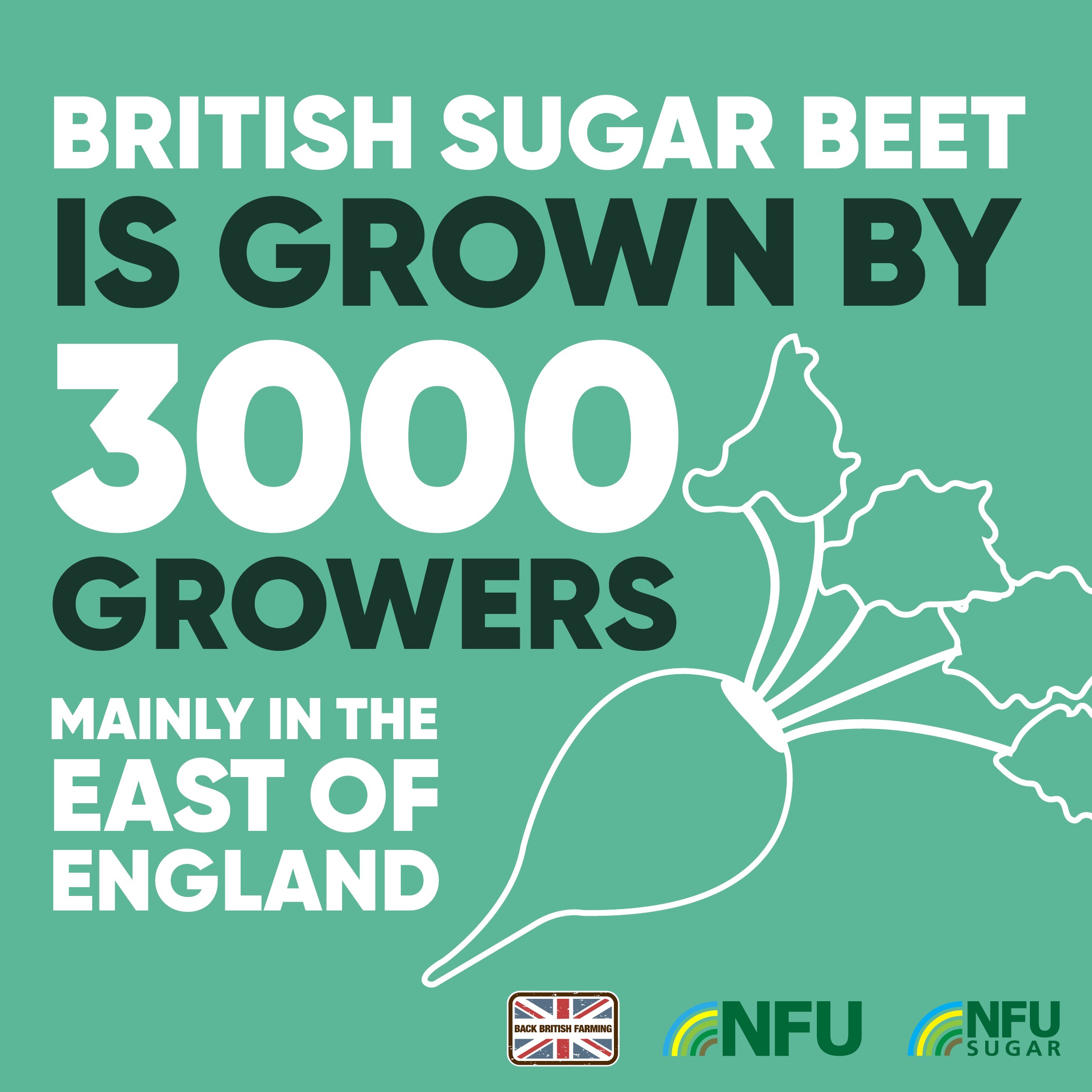 NFU Sugar infographic instagram 300 growers