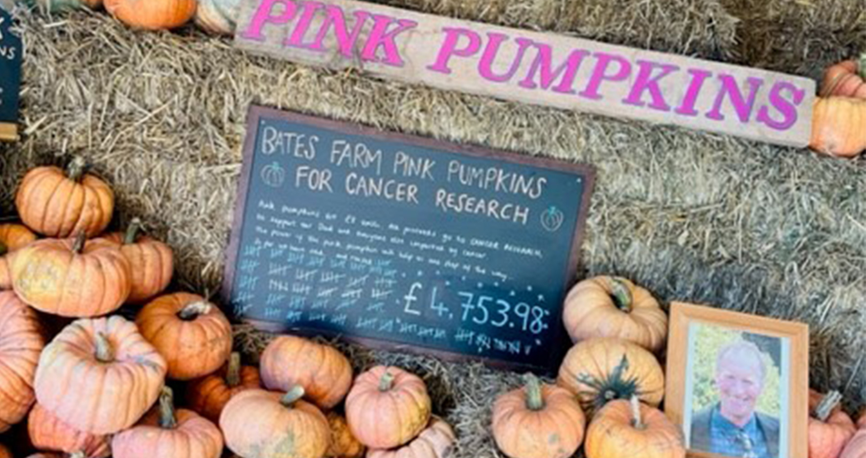 Pink pumpkins on display