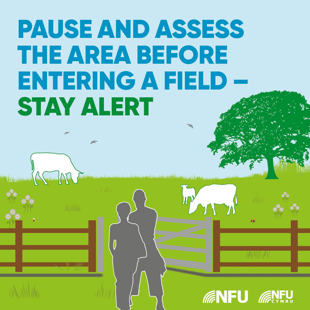  Pause and assess the area before entering a field
