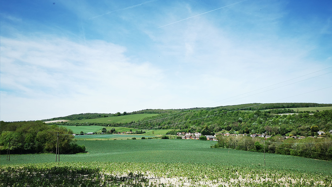 Credit: Katherine Castle. “Once a week I go hiking across farms and woodland. The scenery looks different every time, but always spectacular. It's my favourite walk of the week.”