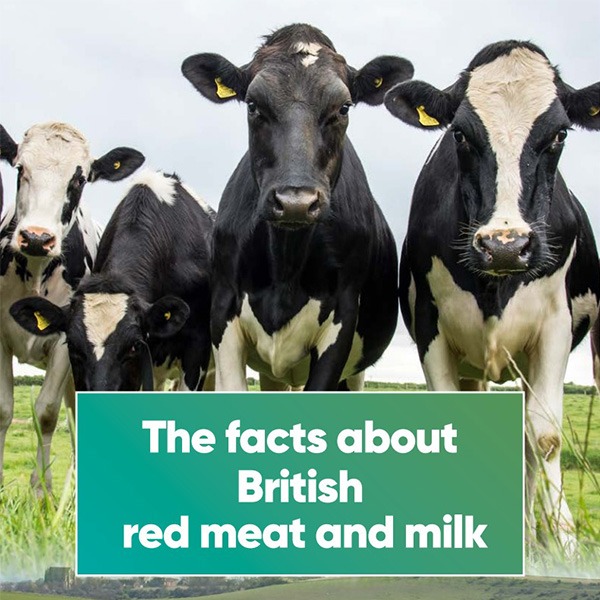 The Facts About Meat And Milk (1)