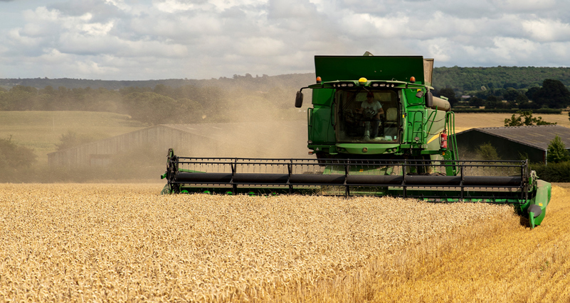 Combine harvester in a field