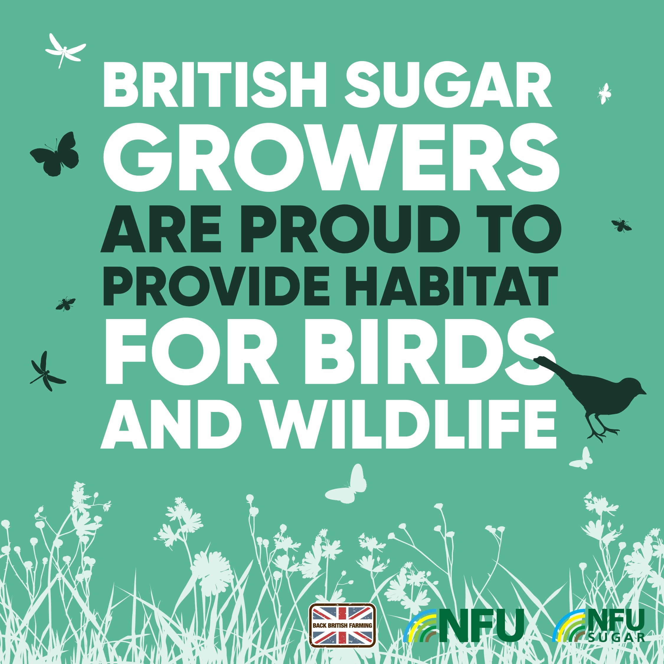 NFU Sugar infographic instagram wildlife