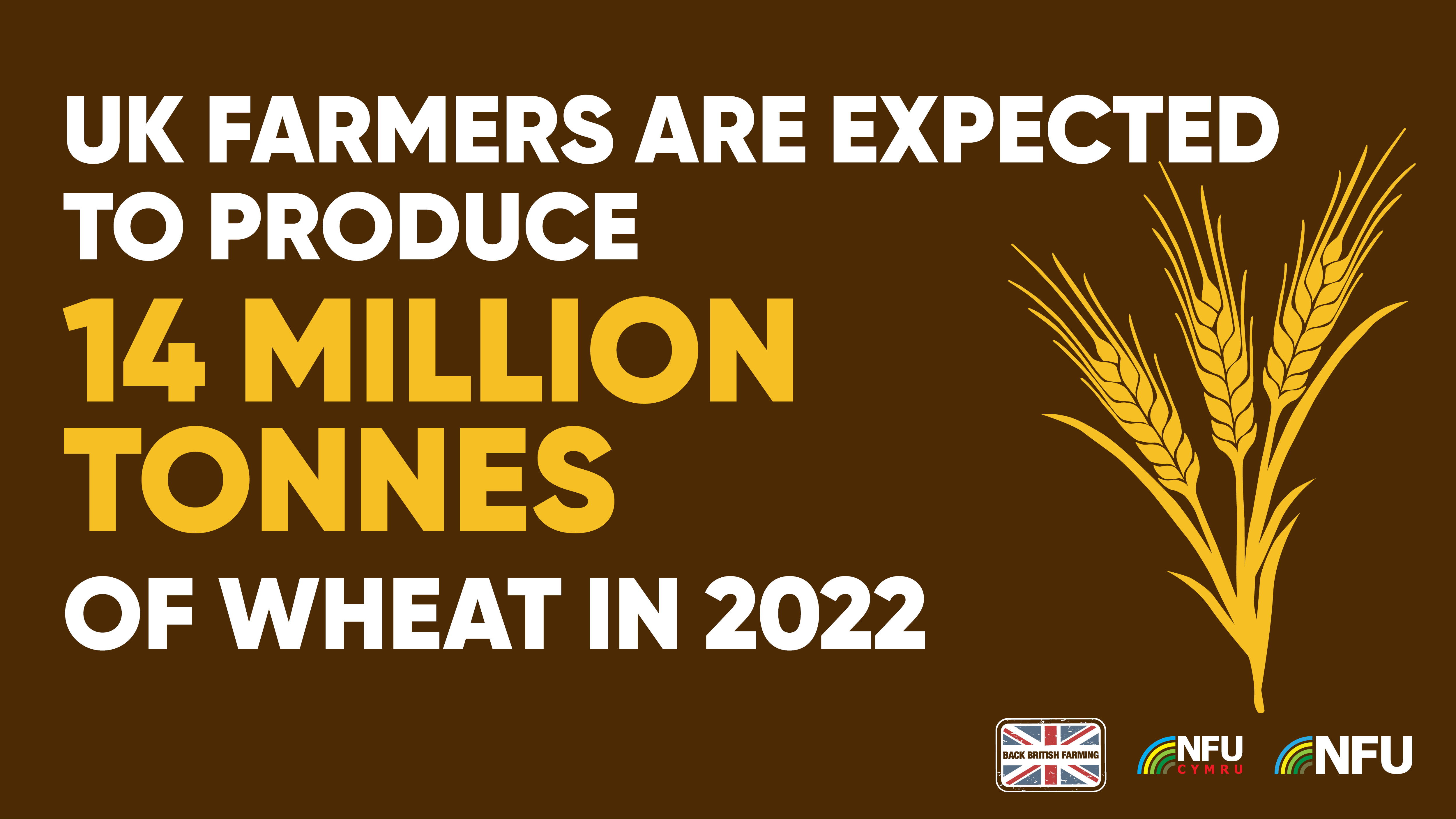 UK farmers are expected to produce 14 million tonnes of wheat in 2022