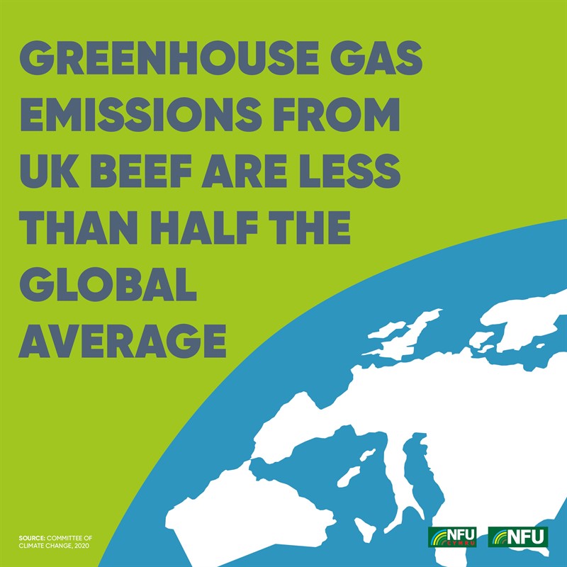 Source: Land Use: Policies for a net zero UK, Committee on Climate Change, 2020