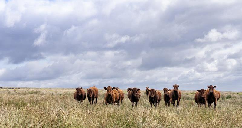 Defra Secretary acknowledges upland challenges in Parliament