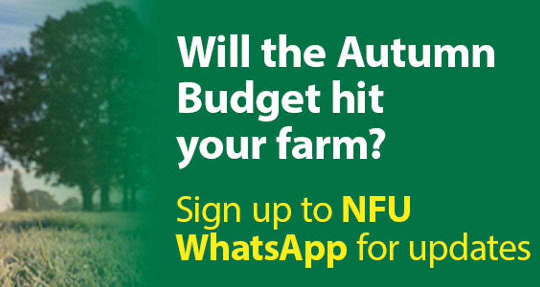 Sign Up To Whatsapp Ad